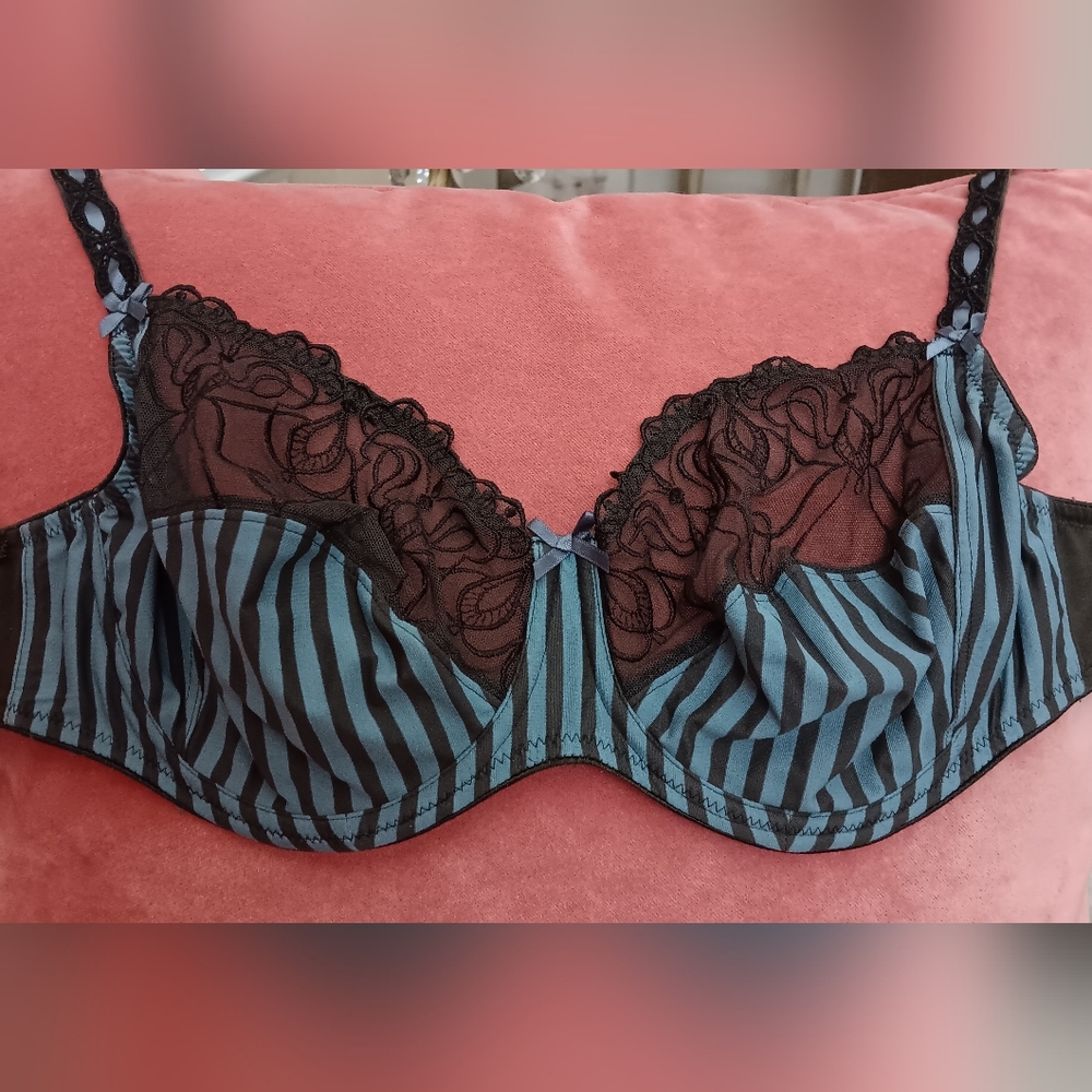 Blue & Charcoal Gray Lace Bra 32F